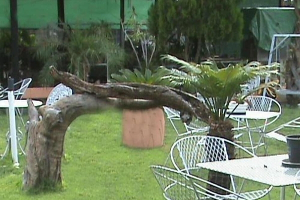 Hotel Tshimologo Farm Guest House (Francistown)